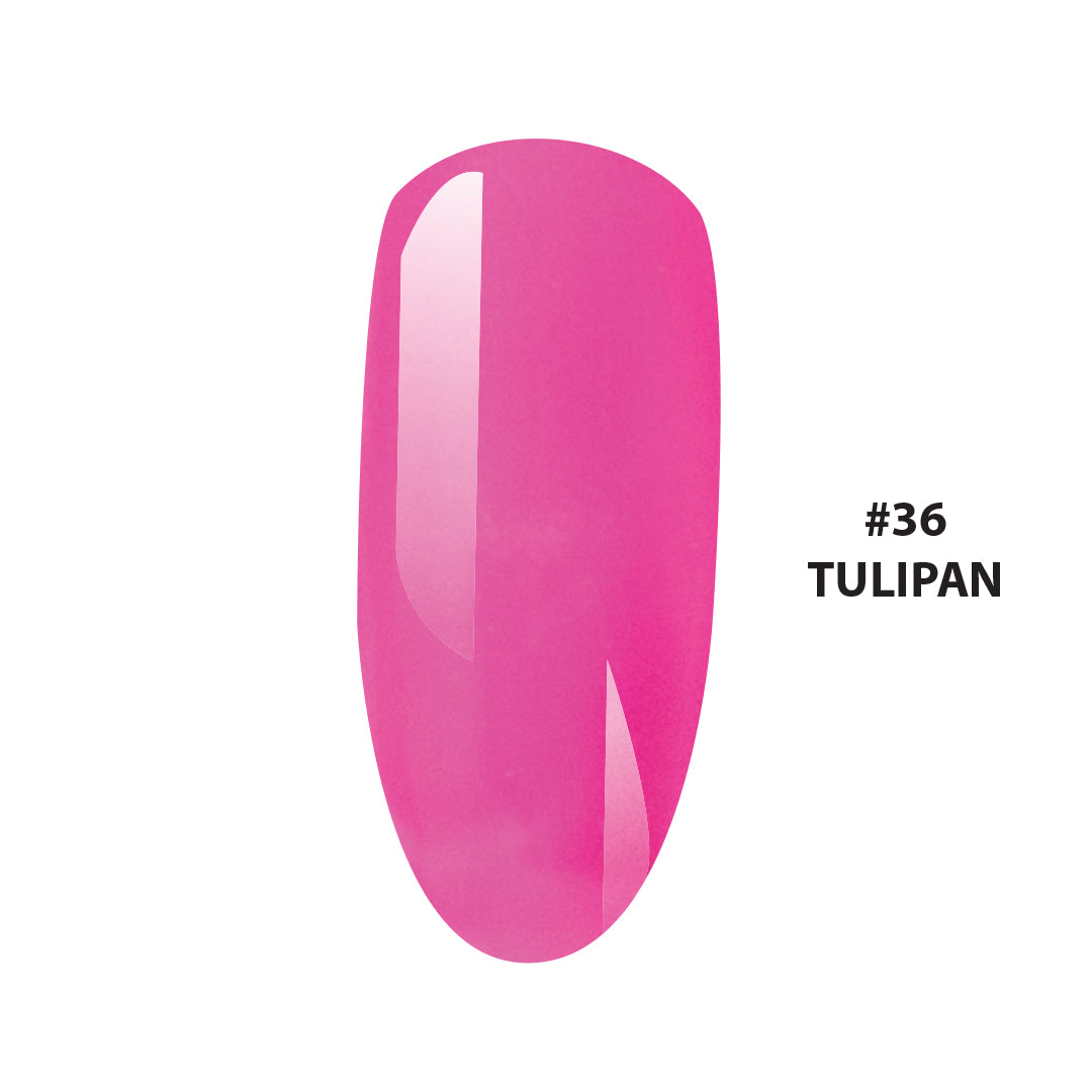 GC nails bel-color 12ml TULIPAN 36