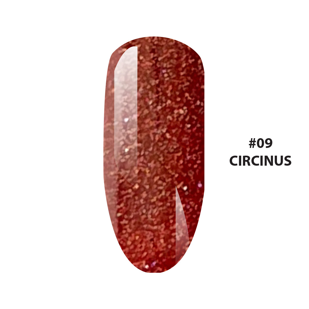 Bel-Star Galaxy Circinus 09
